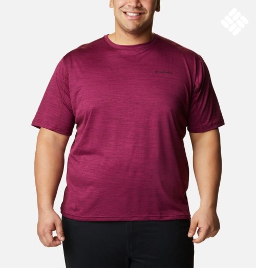 Men's Columbia Alpine Chill Zero Short Sleeve Crew T Shirts Fuchsia | Plus Size CA-LL3C6